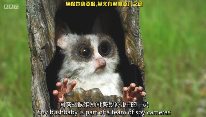 数码纪录片推荐